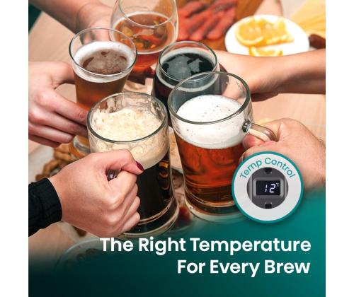 Hisense, 5 L, tumehall - Õlledispenser