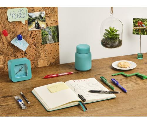 Tindipliiats korgiga PILOT Frixion kirjutab-kustutab 0,7mm roheline