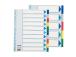 Registri vahelehed Esselte Maxi A4+ 10 värvi plast