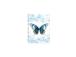 Raamatkalender KANTSLER Spiral Disain Päev " Butterfly " 2912517550