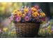 Seinakalender TRIO, avatud mõõt 297x630mm (PILT nr. 9) 00321/40227