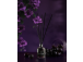 Kodulõhnastaja lõhnapulgad AROMATIC 89 Black Grapes (mustad viinamarjad) 50ml