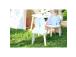 Bunny Two Chair Set - White