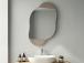 Cloud Storage Bathroom Wall Mirror - Light Mocha