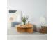 Kohvilaud Podium Wood - Oak