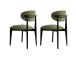 Mööblikomplekt toolid Lionte - Green, Black