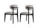Mööblikomplekt toolid Lionte - Grey, Black