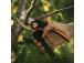 Fiskars X-series PowerGear L P961 (1057175) Bypass Pruner