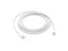 Apple USB Cable USB-C to USB-C, 1 m, White