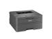 Brother HL-L2400DW Printer laser B/W A4 30ppm Wi-Fi USB