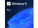 Operatings system Microsoft Windows 11 Pro 64-Bit DVD OEM English International (EN)