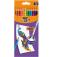 BIC Kids Evolution Illusion erasable pencil crayons box of 12 pcs