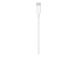 Apple USB-C Male to Lightning Male Cable 2m, White