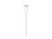 Apple lightning cable 2 m White