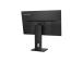 Lenovo ThinkVision E24-30 Monitor 23.8'' IPS FHD 1920x1080, 14 ms, 250 cd/m2, 100 Hz, Raven Black