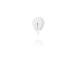 Wepa Toilet paper dispensers MINI Plastic