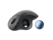 Logitech ERGO M575 Wireless Trackball for Business Wireless Mouse RF Wireless+BT, 2000 DPI, Graphite