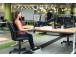 Ball manipulator Kensington Expert Wireless Trackball