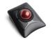 Ball manipulator Kensington Expert Wireless Trackball