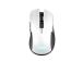 MOUSE USB OPTICAL WRL YBAR/GTX923W 24889 TRUST