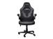 GAMING CHAIR GXT 703 RIYE/BLACK 25128 TRUST