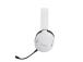 HEADSET WRL GXT491W FAYZO/WHT 25304 TRUST
