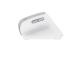 MOUSE USB OPTICAL WRL BAYO II/ERGO WHT 25398 TRUST