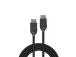 CABLE DISPLAY PORT 2M/BLACK 36492 LINDY