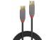 CABLE USB3.2 EXTENSION 2M/ANTHRA 36762 LINDY