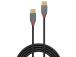 CABLE USB2 TYPE C 1M/ANTHRA 36871 LINDY