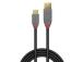 CABLE USB2 C-A 3M/ANTHRA 36888 LINDY