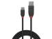CABLE USB3.2 A-C 1.5M/BLACK 36917 LINDY