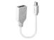ADAPTER MINI DP TO DP/0.2M 41021 LINDY