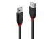 CABLE USB2 EXTENSION 5M/42817 LINDY