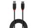 CABLE USB2 EXTENSION 5M/42817 LINDY