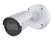 NET CAMERA P1488-LE 8MP BULLET/03184-001 AXIS