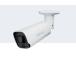 NET CAMERA 8MP IR BULLET/BC800Z SYNOLOGY