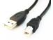 CABLE USB2 AM-BM 1.8M/CCP-USB2-AMBM-6 GEMBIRD