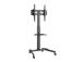 TV SET ACC FLOOR STAND 32-55"/TVS-55T-01 GEMBIRD