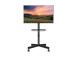 TV SET ACC FLOOR STAND 32-55"/TVS-55T-03 GEMBIRD