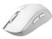 KEYBOARD +MOUSE/FORGE K210 W COMBO WHITE MSI