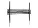 TV SET ACC WALL MOUNT 43-100"/WM-100F-01 GEMBIRD