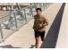 SMARTWATCH AMAZFIT ACTIVE MAX/W2556GL1N HUAMI