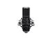 MICROPHONE GXT270 EMITA II +/BLACK 25770 TRUST