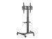 TV SET ACC FLOOR STAND 32-55"/TVS-55T-01 GEMBIRD