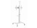 TV SET ACC FLOOR STAND 37-70"/WHITE TVS-70T-02-W GEMBIRD