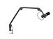 MICROPHONE GXT 255+ ONYX/24354 TRUST