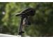 CAMERA ACC OSMO ACT. BIKE SEAL/R.MOUNT CP.OS.00000268 DJI