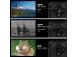 MOBILE PHONE ARMOR X16/6/128GB WASTELAND SHAD ULEFONE