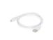CABLE LIGHTNING TO USB2 2M/WHT CC-USB2-AMLM-2M-W GEMBIRD